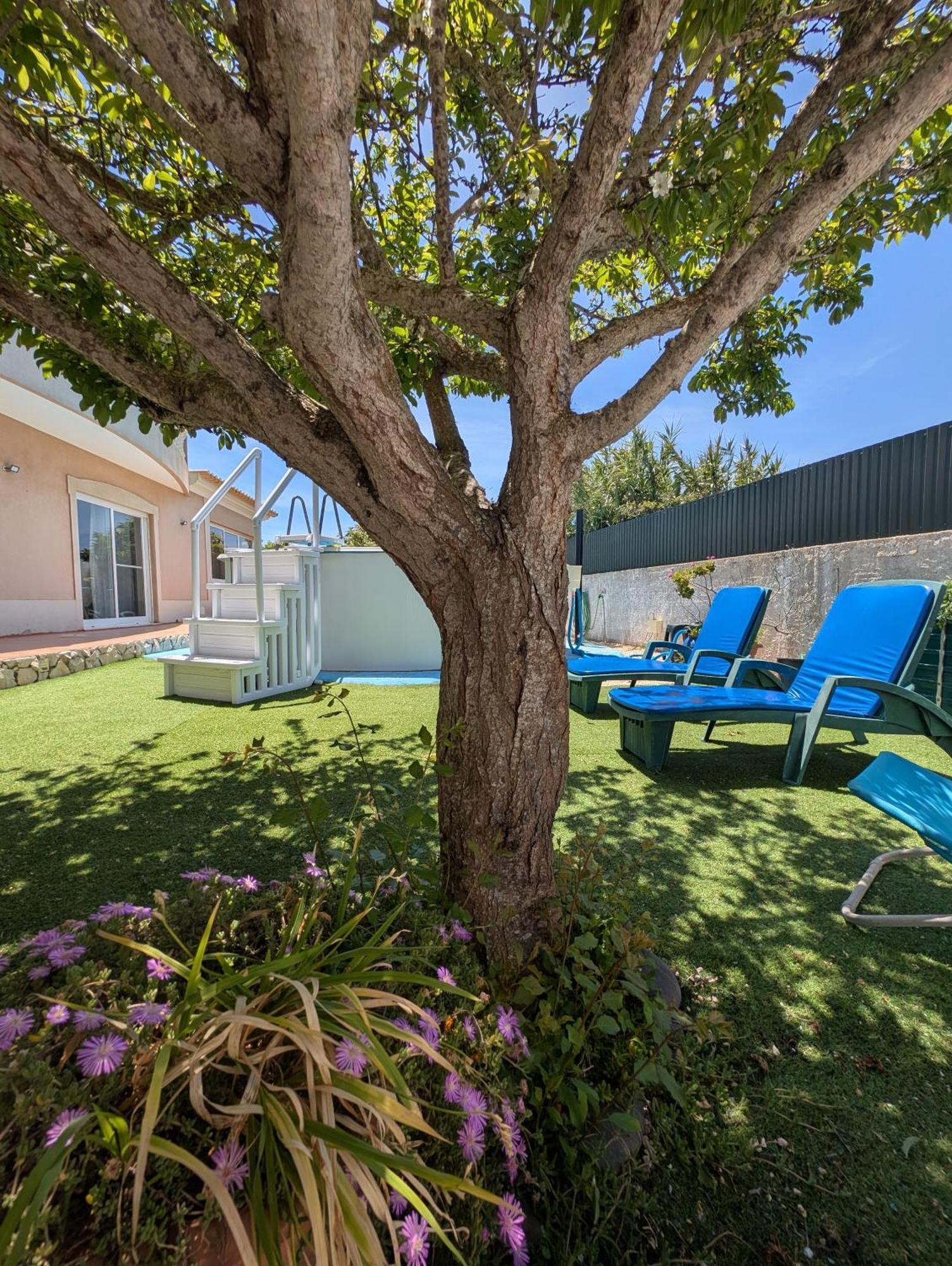 Apartamento Sagres Sunset المظهر الخارجي الصورة